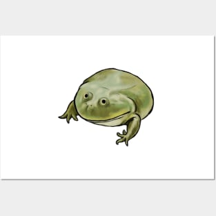 Wednesday Frog Art No Text Posters and Art